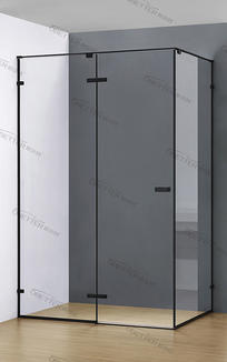 What are the different styles and configurations of Shower Niche Door